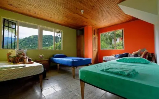 Fruit Palace Hostel