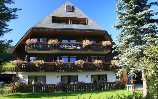 Drei Tannen - Wohnung 07 - Apartmenthaus, Titisee, Feldberg