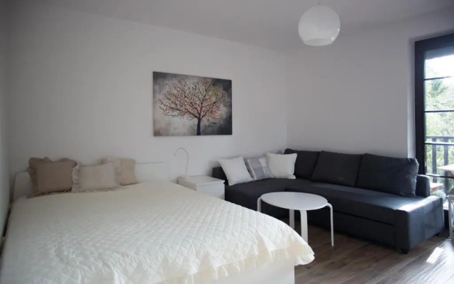 Apartament Kameralny
