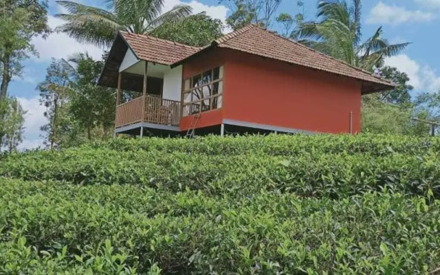 Jungle Edge Resort by Z Vacations