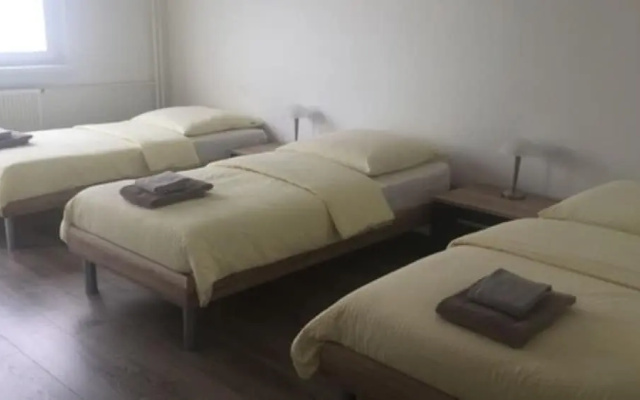 Executive Apartment near Basel 35