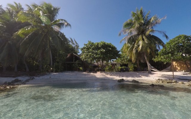 Отель Le Coconut Lodge Французская Полинезия, Рангироа - отзывы, цены и фото номеров - забронировать отель Le Coconut Lodge онлайн бассейн