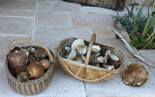 Léone Haute
