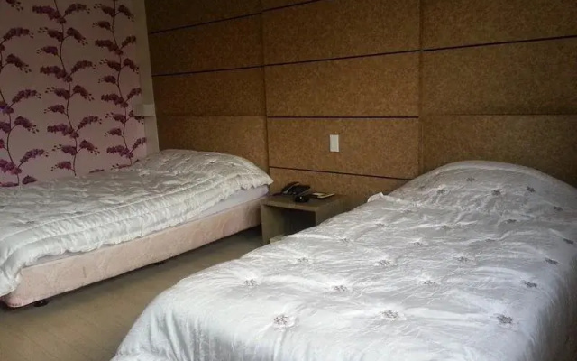 格雷斯旅游酒店(Grace Tourist Hotel)