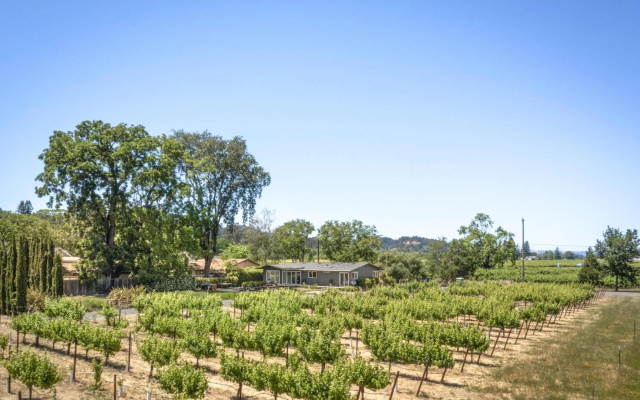 Private Vineyard Haven