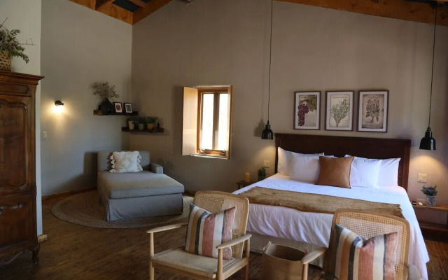 Alma Liebre Viñedos del Valle