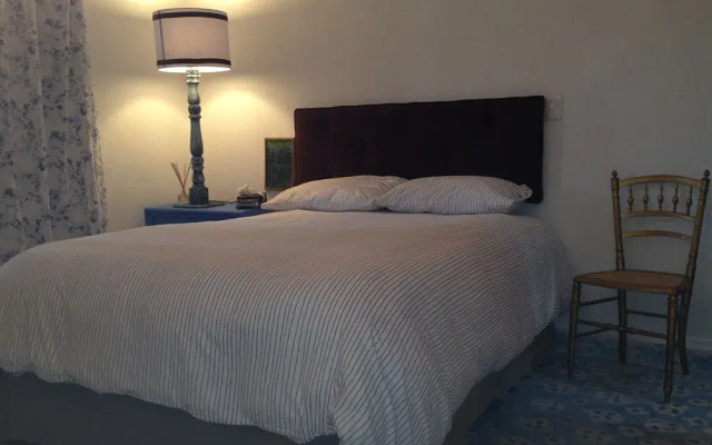 Pug Seal B&B Coyoacan