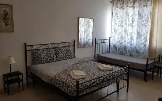 B&B Diana