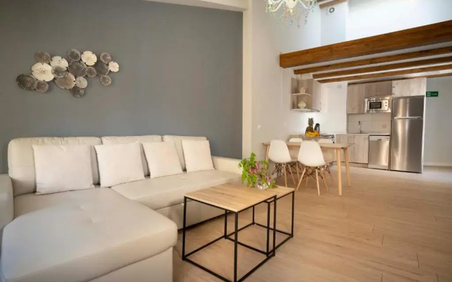 Apartamentos Terraza Ega