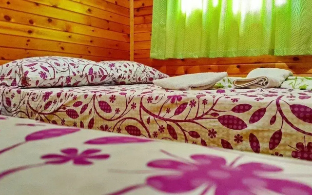 Olympos Tatilya Pansiyon