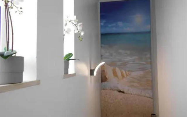 Lovely new House W/ Beatiful Garden