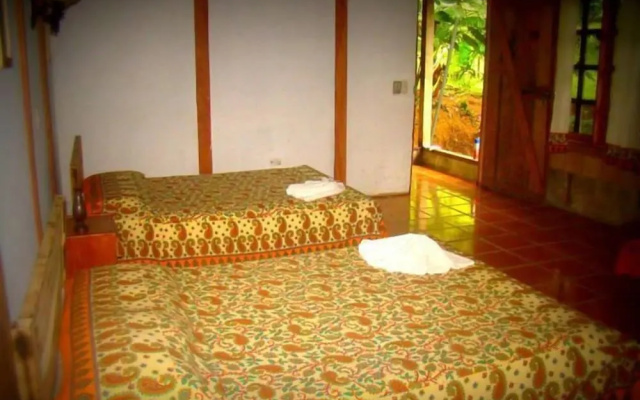 La Gamba Rainforest Lodge