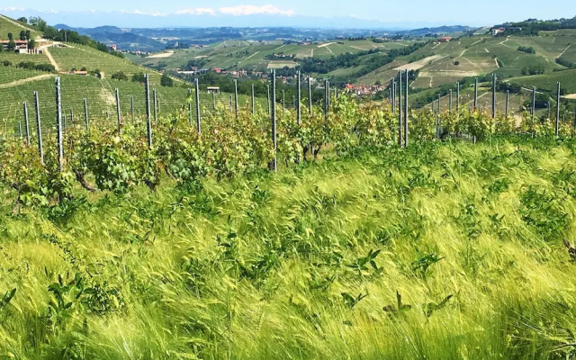 Agriturismo Rivetto