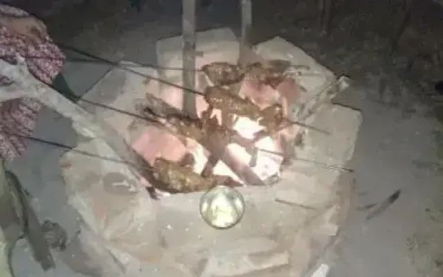 Sundarban Welcome Homestay