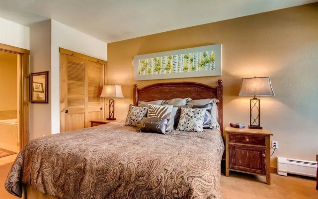 Premier 2 Bedroom Mountain View Condo Located in Historic Downtown Breckenridge Walking Distance to Peak 9