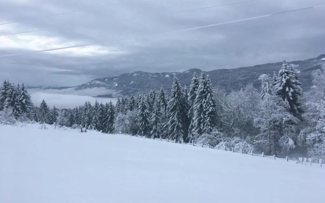 Naturgut Gailtal