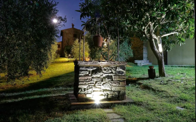 Selva degli Ulivi