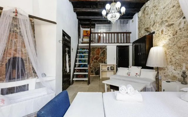 Antonia's House