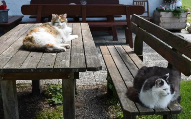 Ferienhof Grubinger