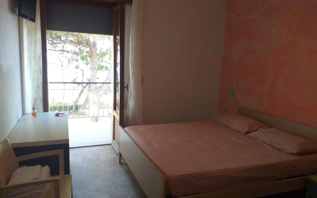 Room in B&B - Spacious Double Room by the sea
