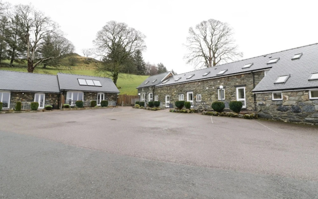 Arenig
