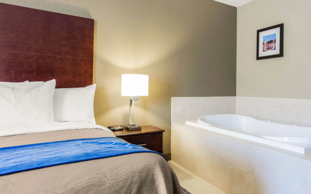 Comfort Inn Atlanta Downtown South