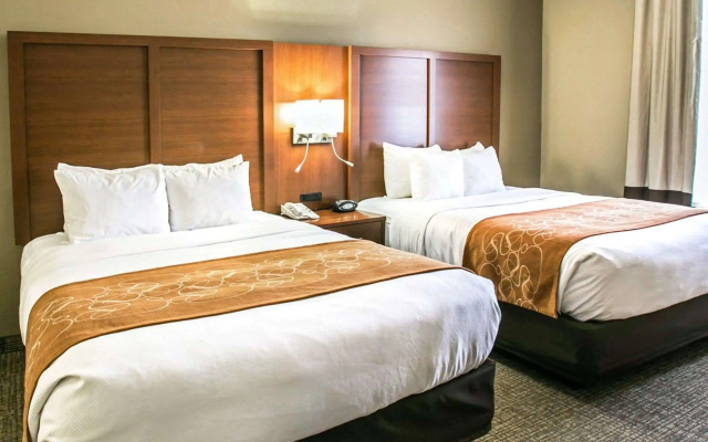 Comfort Suites Houston NW - Vintage Park