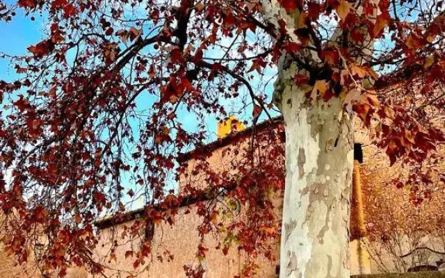 Boutique Hotel & Spa Les Vinyes