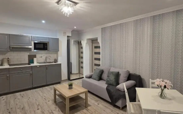 Light Rooms Apartment