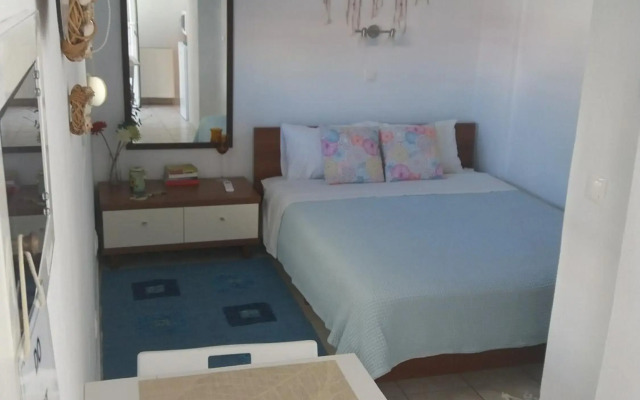INSPIRATION Guestroom with Amazing Roof Garden