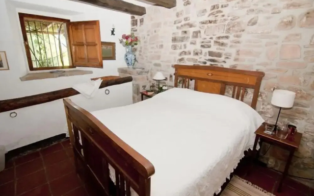 Celler Colltor