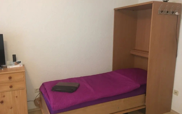 Apartmenthaus "Zum Löwen" Heidelberg - Ziegelhausen
