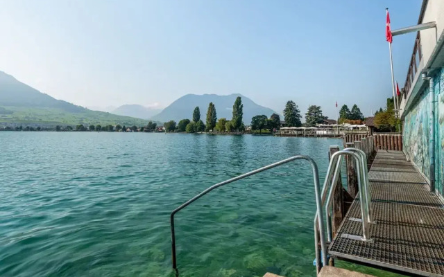 Seestern am See mit Motorboot Ennetb Rgen