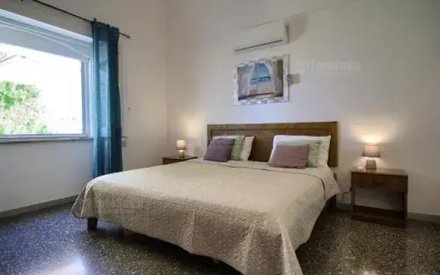 Beta Maggiore