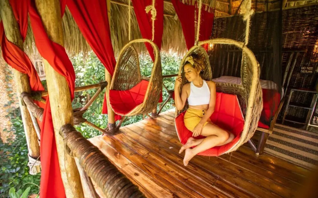 Dominican Tree House