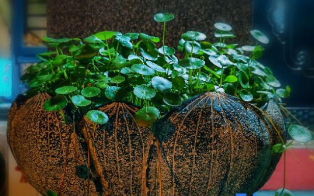 Shengtangli Homestay