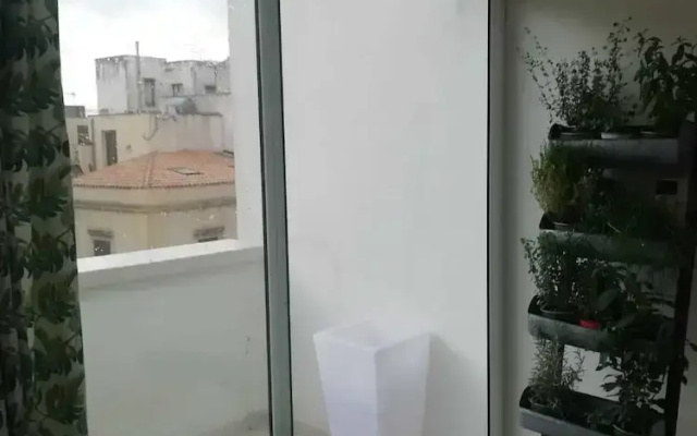 Marta House 2