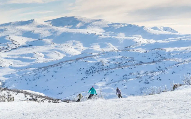 Snowy Studio - Jindabyne
