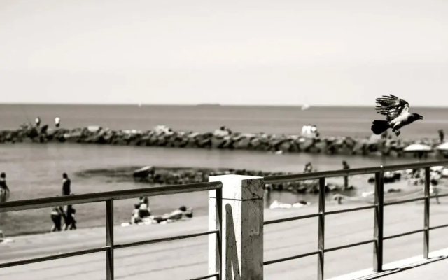 Open Space On The Sea Of Rome !:)