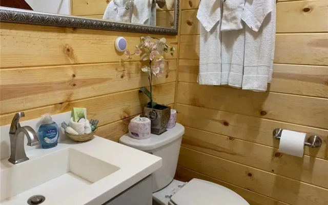 A-frame Retreat