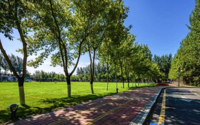 Meishang Homestay (Harbin Taiping International Airport Terminal 2 Branch)