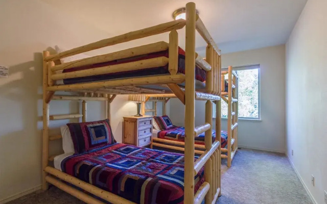 Kinglet 28