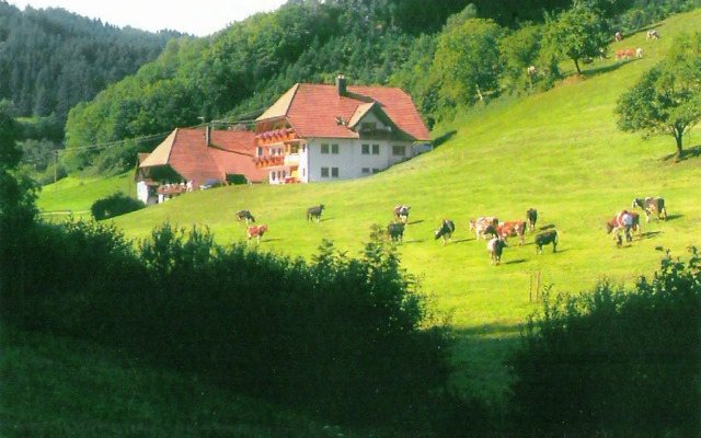 Comfy Apartment in Salmensbach near River