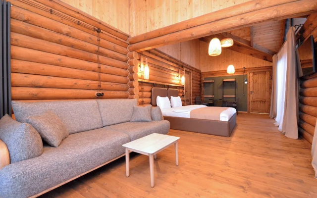 Wooden Villa with pool and sauna