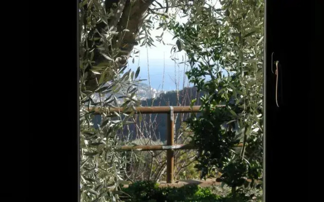 Agriturismo i Cianelli