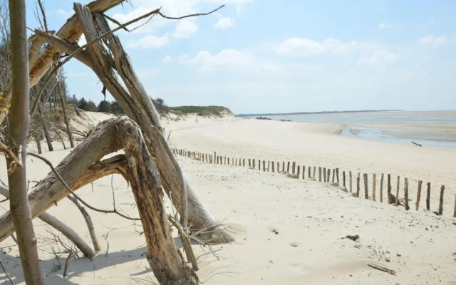 HAMAC - vue mer - 100M PLAGE