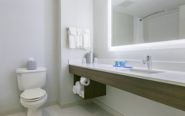 Holiday Inn Express And Suites Mount Arlingto