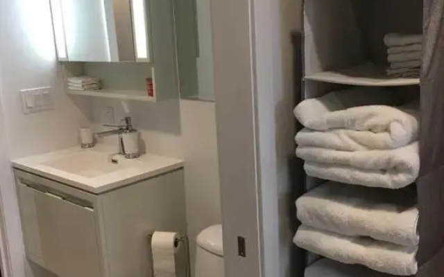 Luxury home in downtown Montreal
