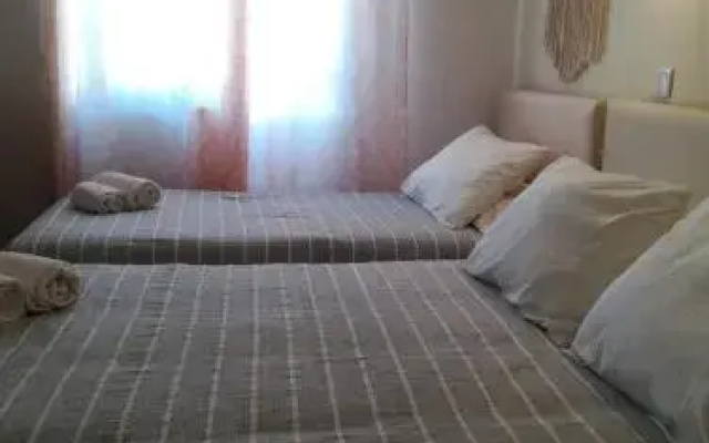 Quartos Abelha