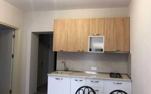 1-bedroom appartment in the centre of bakuriani 3